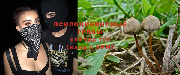 mdma Дмитровск