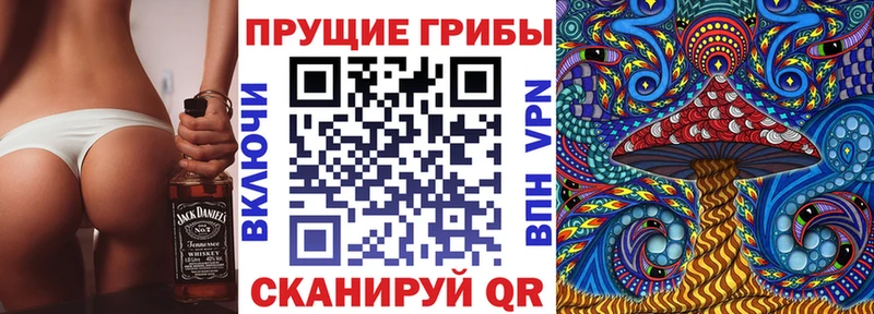 купить наркоту  Волгодонск  Галлюциногенные грибы Cubensis 