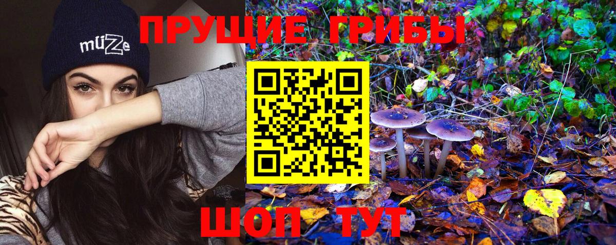 Псилоцибиновые грибы Psilocybine cubensis Волгодонск