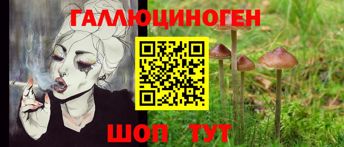 Волгодонск  Псилоцибиновые грибы Magic Shrooms  Вход с VPN 