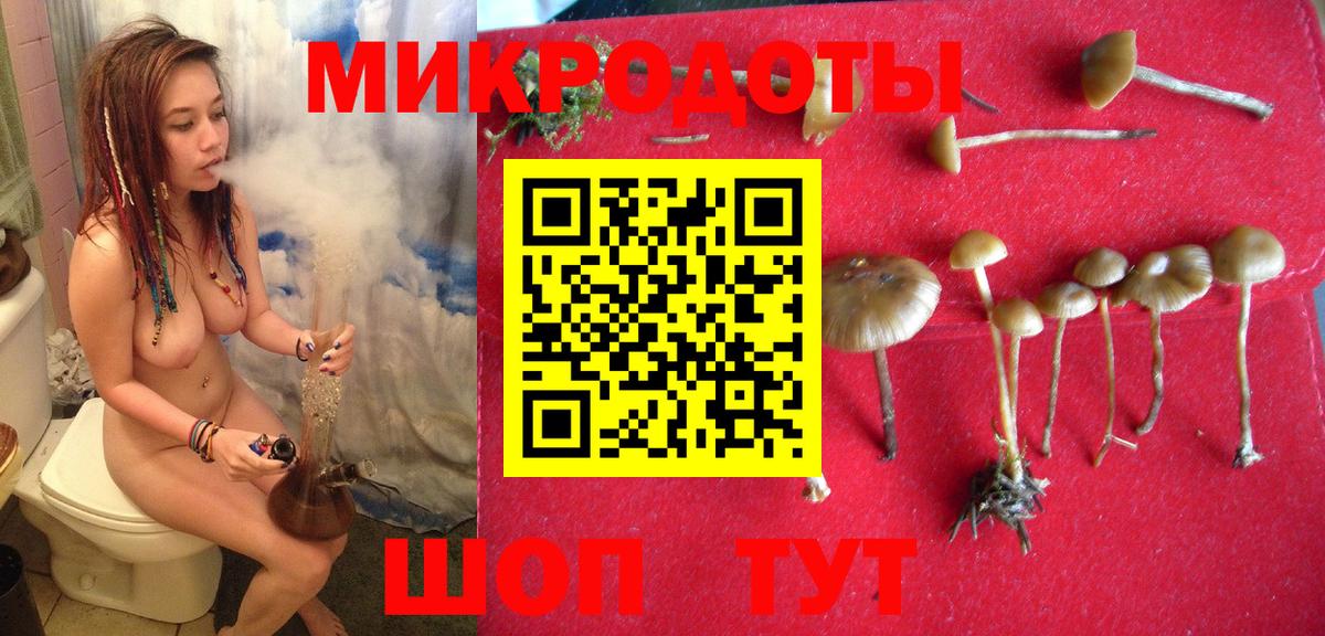 Галлюциногенные грибы Magic Shrooms Волгодонск